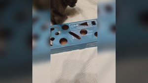 Игрушка кошкам за 0 руб