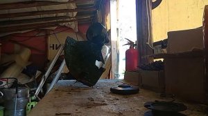 Заменил в триммере леску на тросик и что из этого вышло