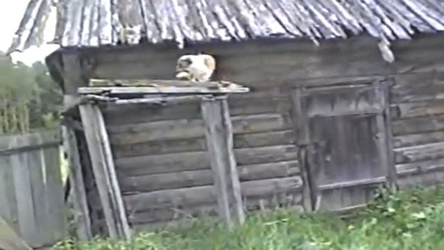 Дневной дозор смотреть онлайн