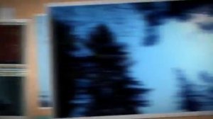 «Позарастали стежки-дорожки»