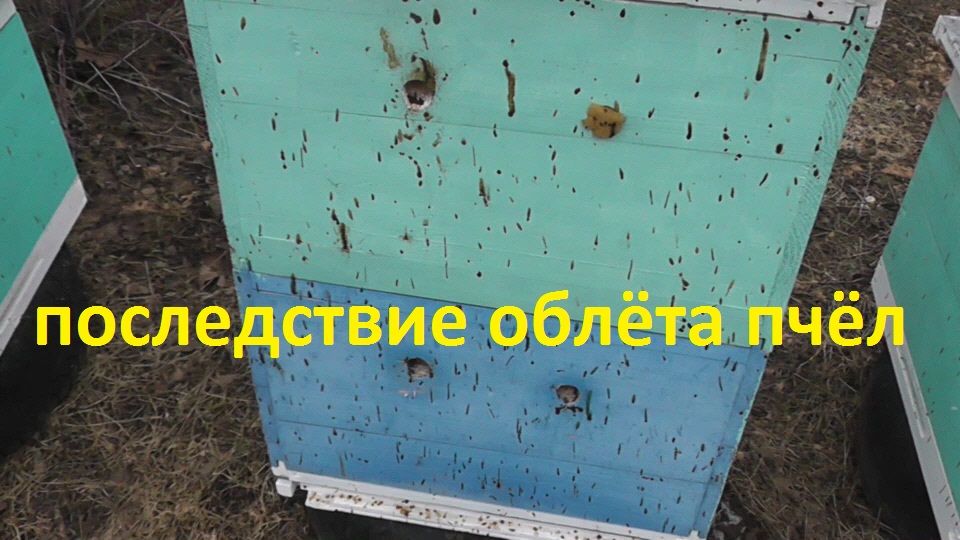 Не присутствовал, а облёт был