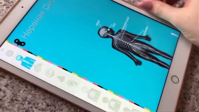 Детские приложения/Настроить YOUTUBE KIDS смотреть онлайн