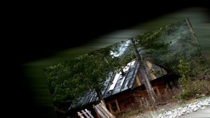Вот это поворот! Новый козлятник для Агафьи Лыковой 2022 | лес | абакан | тайга | отшельники