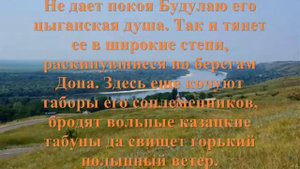 Анатолий Калинин "Цыган"