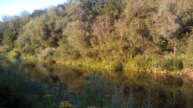 На рыбалке, красота и тишина смотреть онлайн