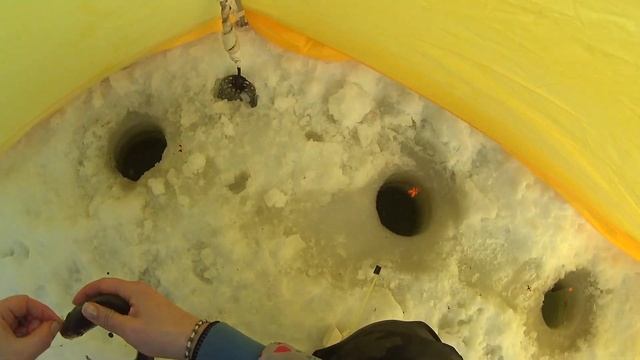 ЗИМНЯЯ РЫБАЛКА в мороз -20. Плотва. Рыбалка в палатке. Активный клёв. Fishing