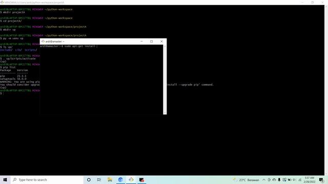 Python Environment