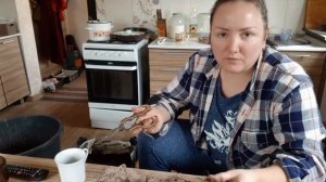 Сорта ежевики для севера европейской России, Сибири и Дальнего Востока