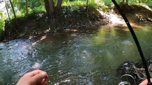 Лайтовые Береговые Рыбалки, Голавль, Форель, Голец, Окунь смотреть онлайн