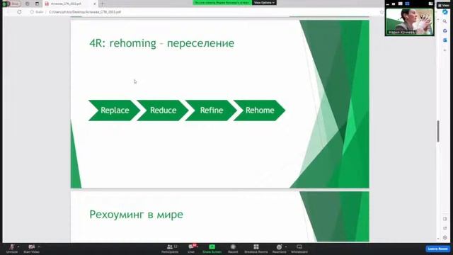 Круглый стол «Этика и животные» смотреть онлайн