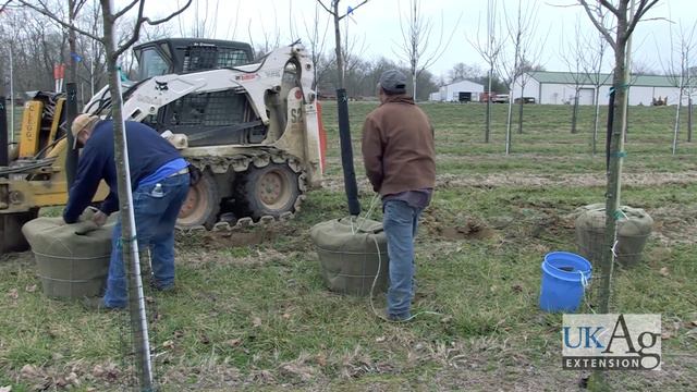 An Introduction to the Kentucky Nursery Industry смотреть онлайн