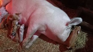 ? ну вот и бессонная  ночь?⏰?? 
Долгожданный опрос????