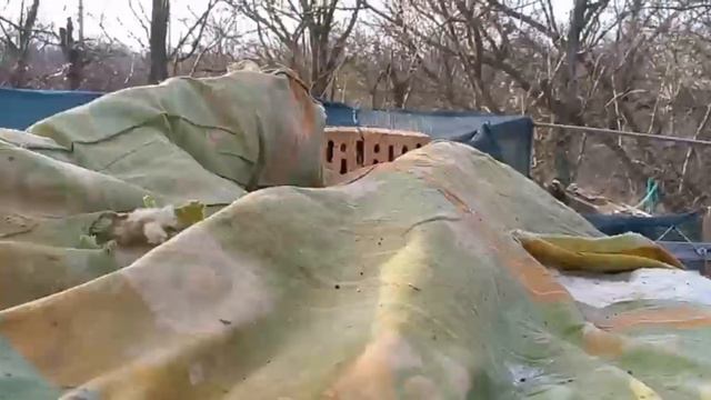 #ОднаНаДачах 🐀 Утеплитель погрызли мыши. Крапива на салат. В огороде - грязь! смотреть онлайн