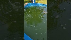 Crystalline Pond (Кристальный пруд) чудо или нет?