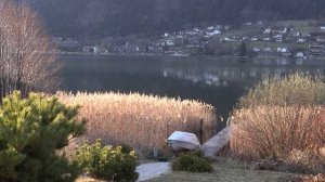 Карантин на даче. Кто самый крутой на озере?