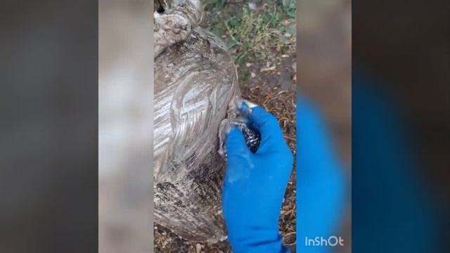 Фада-Антижир в действии смотреть онлайн