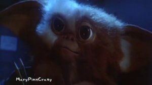 Gremlins - Gizmo