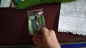 Огурец,, Изумрудный поток"-какой он? Пробуем! ?