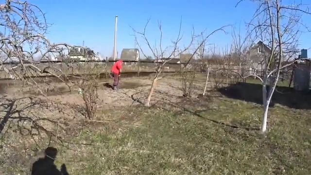 Сажаем саженцы грецкого ореха. Делаем скамейки сами. VLOG. Брест смотреть онлайн