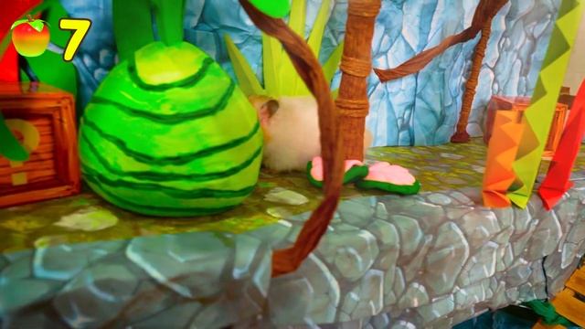 Хомяк в лабиринте Crash Bandicoot ? Хомура Хам Питомцы