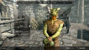 Skyrim Секреты и Интересные Факты об Аргонианах
