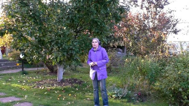 Как обработать сад осенью от болезней и вредителей. Обработка сада осенью. Осенняя обработка сада. смотреть онлайн