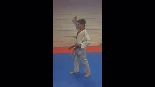 1- ое Пхумсе . тыкук иль джан . Аракелов Сандро.Аттестация на жёлтый пояс смотреть онлайн