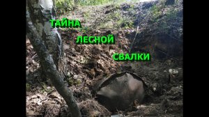 Тайна лесной свалки. Интересные находки на старой лесной свалки.