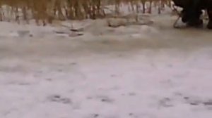 ст. Старощербиновская. Обзор реки Ея. 18.02.2017