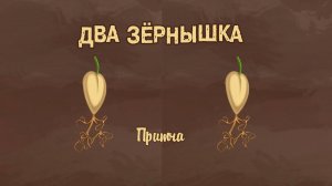 Два зернышка  — Притчи ПСИФОРА