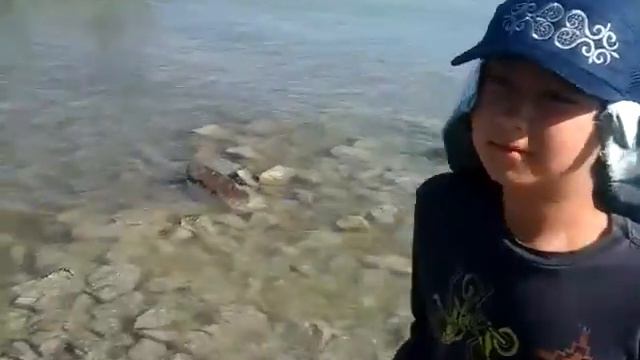 Балхаш улкен 2017