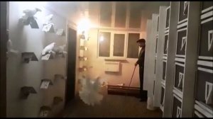 Бойные голуби в Казахстане / Тасманы / Сиреневые / Агараны ( Женя Б . Казахстан )