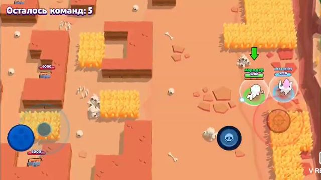 Парный бравол Старс