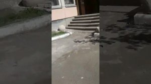 Разбилось стекло в школе!