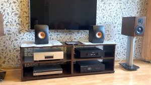 Акустика Near Dynaudio Heritage Special