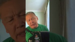 Кони привередливые. В. Высоцкий. Разбор песни на гармони (окончание)