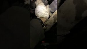 Установка сцепления на бмв е36