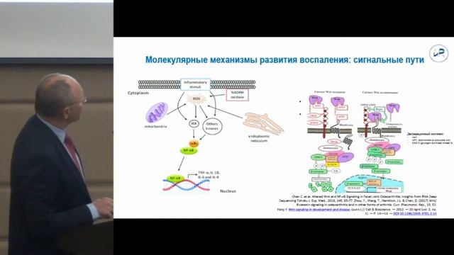 Лила А.М., Остеоартрит: особенности патогенеза и стратегия лечения.