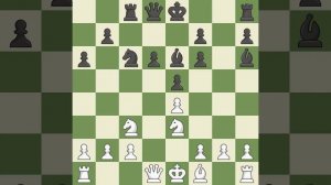 White Georgiev Kiril (MKD), Black Shirov Alexei (ESP),Sicilian Defense: Open, Pelikn and Sveshniko