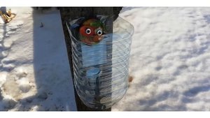 Конус для убоя бройлеров из пластиковой 5 литровой бутылки. Весна!