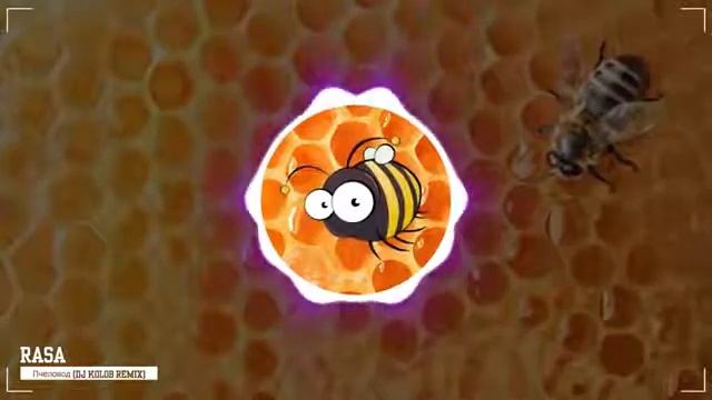 Эффекты на песню(Ты пчела я Пчеловод- RASA) смотреть онлайн