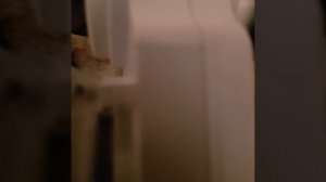 Таймер механический Робитон. Шумит как трактор