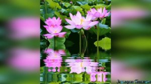 МАНТРА Падмасамбхавы ОТКРЫВАЕТ СМЫСЛ ЖИЗНИ