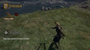 Dragon's Dogma: Dark Arisen - All Strider Skills (With Upgrades) | AbilityPreview