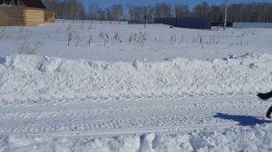 Как построить дешевый забор из профлиста своими руками.