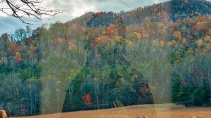 Евангелие дня. Чтимые святые дня. Рождественский пост. (09 декабря)