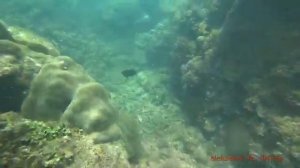 Нячанг  снорклинг тихая бухта