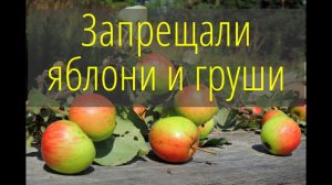 И вашим и нашим: путь санкционных товаров из Беларуси в Россию