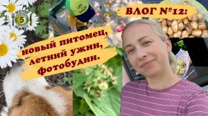 Влог 12: новый питомец, летний ужин, фотобудни, природа. Влог от Меню 5 Минут.mp4