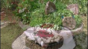 Дачные клумбы - идеи